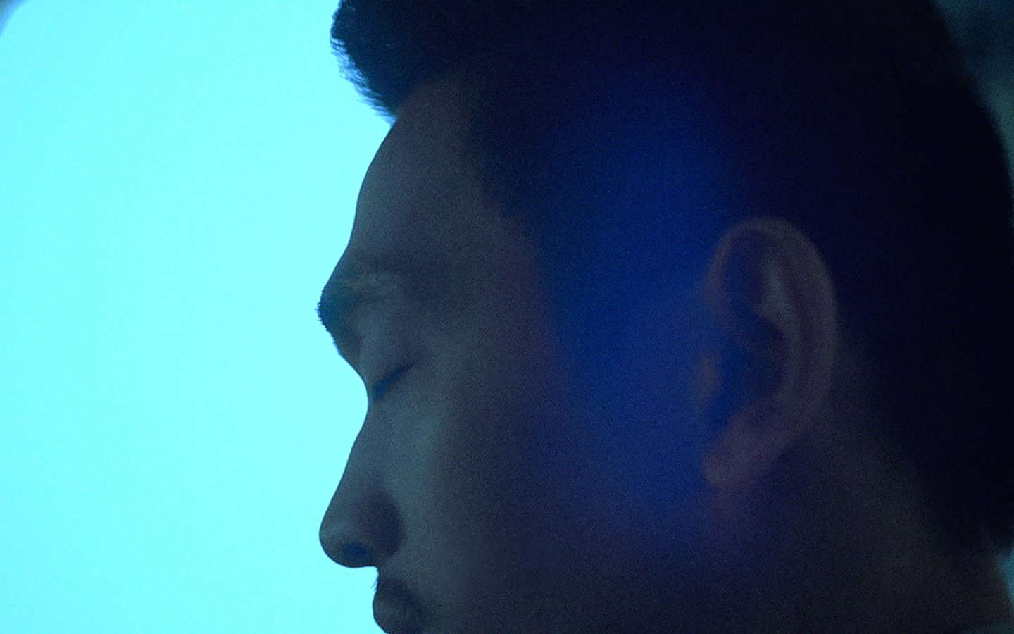 HIWA, 2017